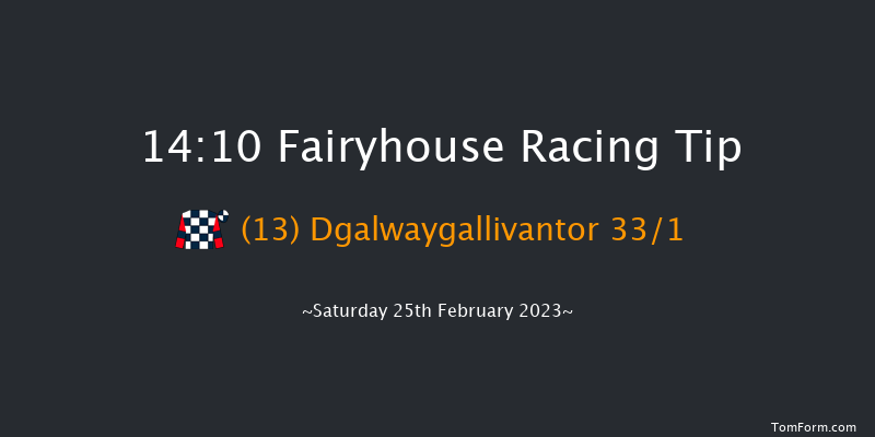Fairyhouse 14:10 Maiden Hurdle 16f Wed 8th Feb 2023
