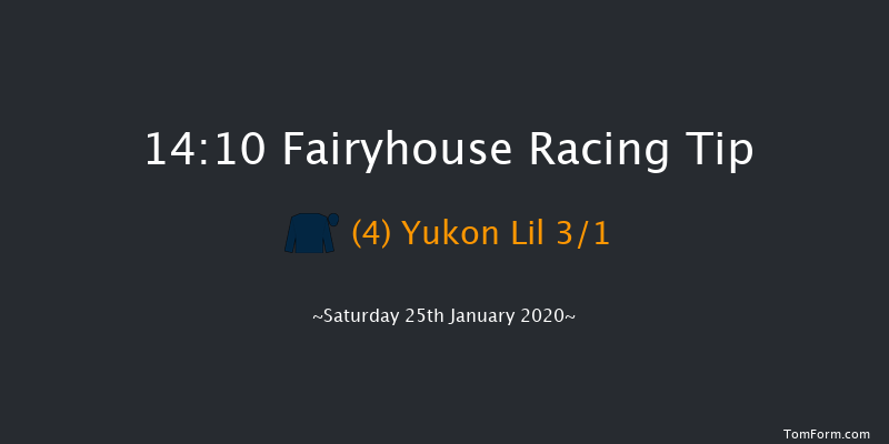 Fairyhouse 14:10 Novices Hurdle 18f Tue 14th Jan 2020