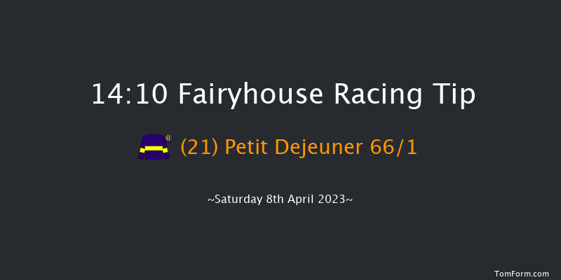 Fairyhouse 14:10 Maiden Hurdle 20f Sat 25th Feb 2023