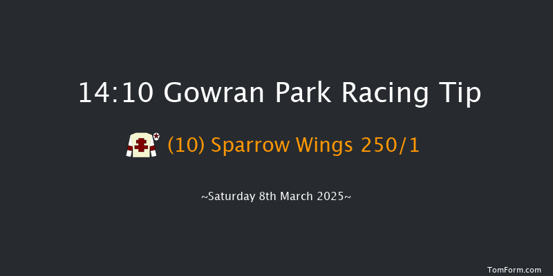 Gowran Park  14:10 Maiden Hurdle 16f Sat 15th Feb 2025