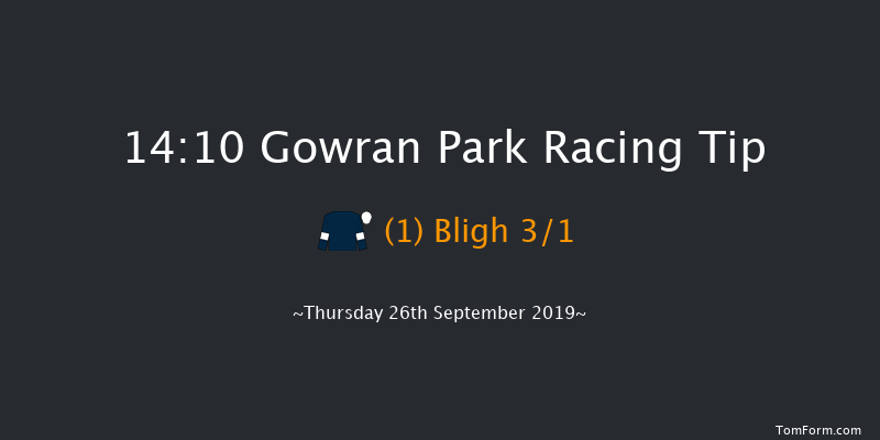 Gowran Park 14:10 Maiden 8f Wed 4th Sep 2019