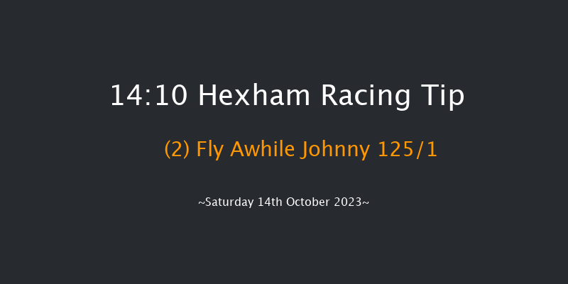 Hexham 14:10 Maiden Hurdle (Class 4) 20f Fri 6th Oct 2023