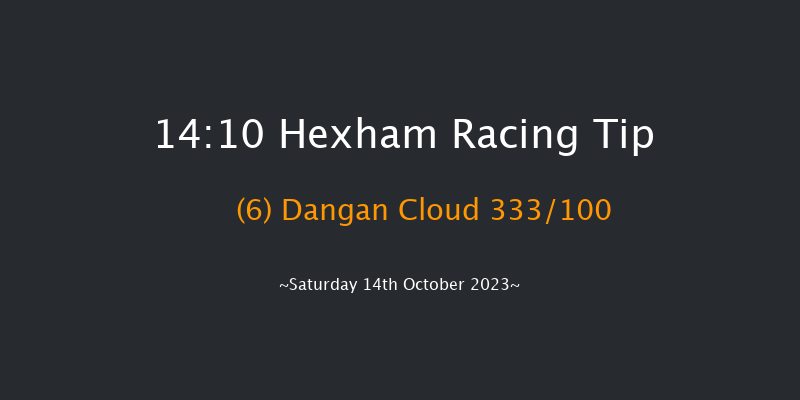 Hexham 14:10 Maiden Hurdle (Class 4) 20f Fri 6th Oct 2023