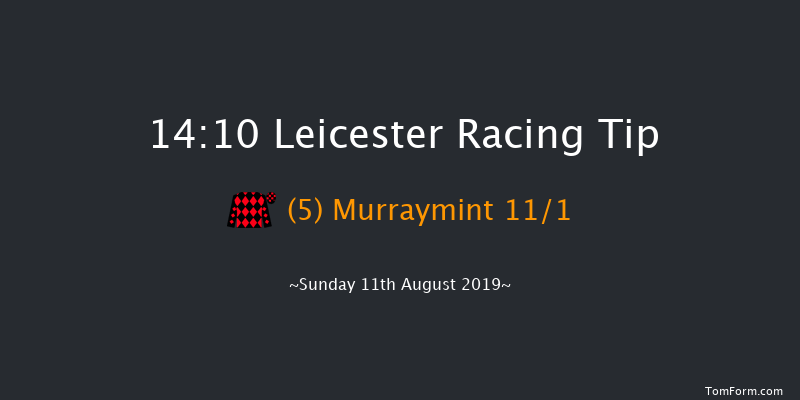 Leicester 14:10 Stakes (Class 4) 7f Wed 31st Jul 2019