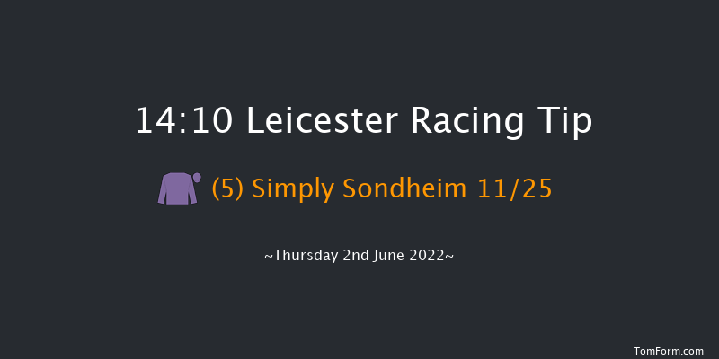 Leicester 14:10 Handicap (Class 6) 10f Tue 31st May 2022