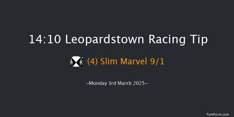 Leopardstown  14:10 Handicap Hurdle 20f Sun 2nd Mar 2025