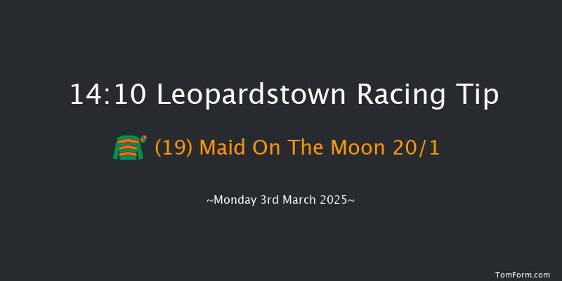 Leopardstown  14:10 Handicap Hurdle 20f Sun 2nd Mar 2025