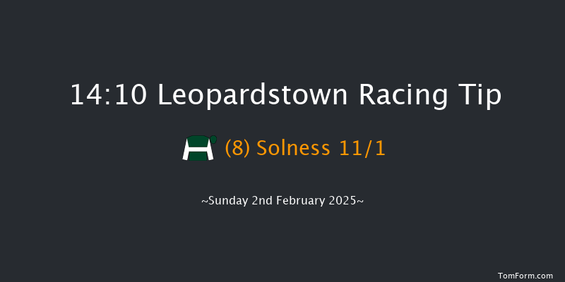 Leopardstown  14:10 Conditions Chase 17f Sat 1st Feb 2025