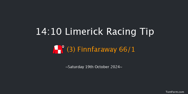 Limerick  14:10 Maiden Hurdle 21f Sun 7th Jul 2024
