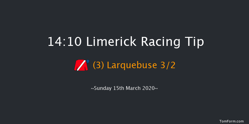 Kerry Group Irish EBF Shannon Spray Mares Novice Hurdle (Grade 3) Limerick 14:10 Novices Hurdle 22f Thu 30th Jan 2020