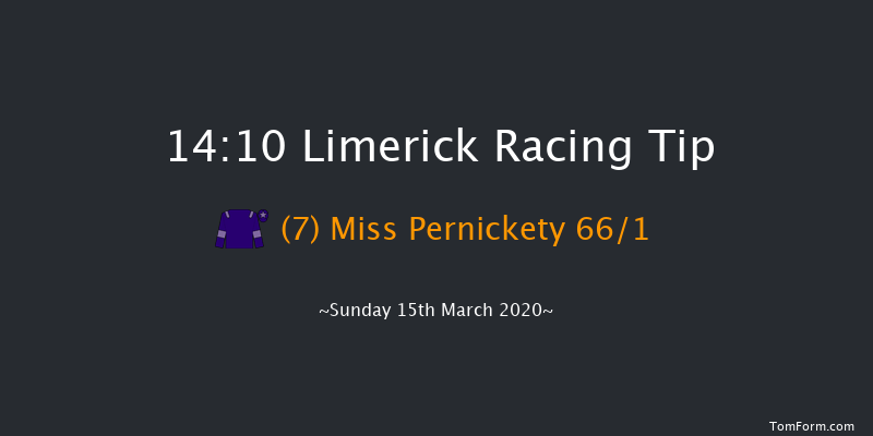 Kerry Group Irish EBF Shannon Spray Mares Novice Hurdle (Grade 3) Limerick 14:10 Novices Hurdle 22f Thu 30th Jan 2020