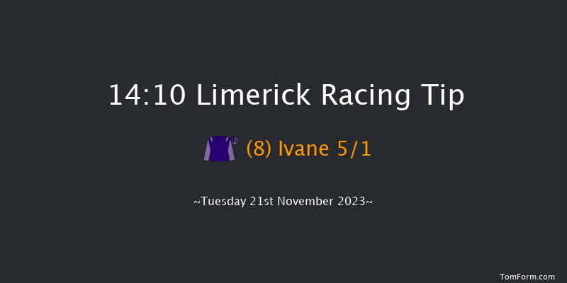 Limerick 14:10 Handicap Hurdle 16f Sun 22nd Oct 2023
