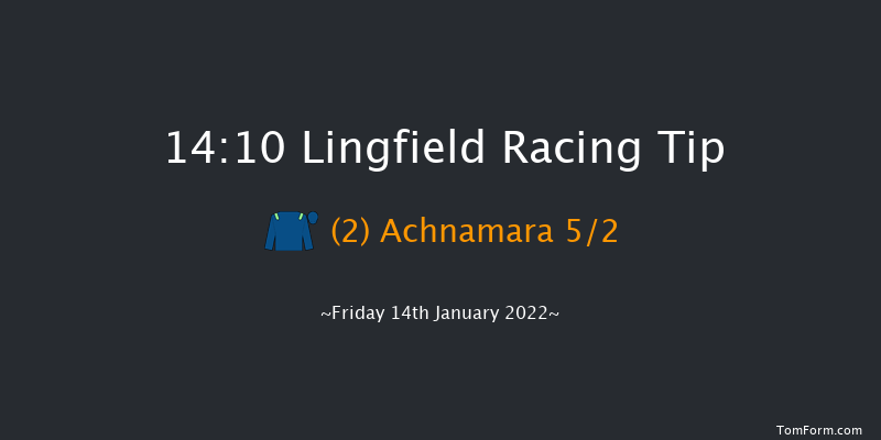 Lingfield 14:10 Handicap (Class 4) 10f Wed 12th Jan 2022