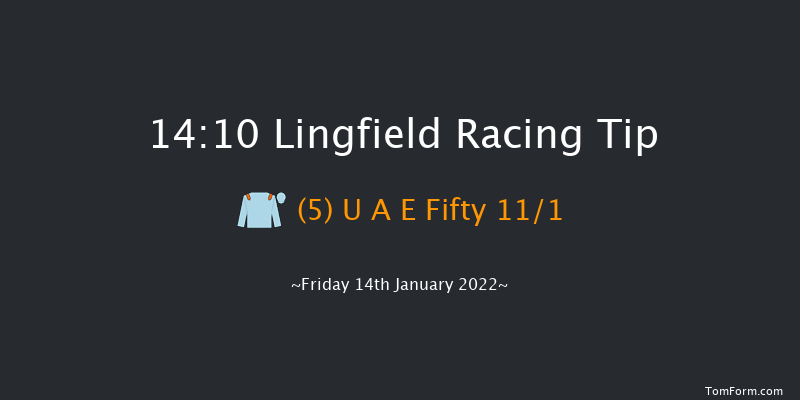 Lingfield 14:10 Handicap (Class 4) 10f Wed 12th Jan 2022