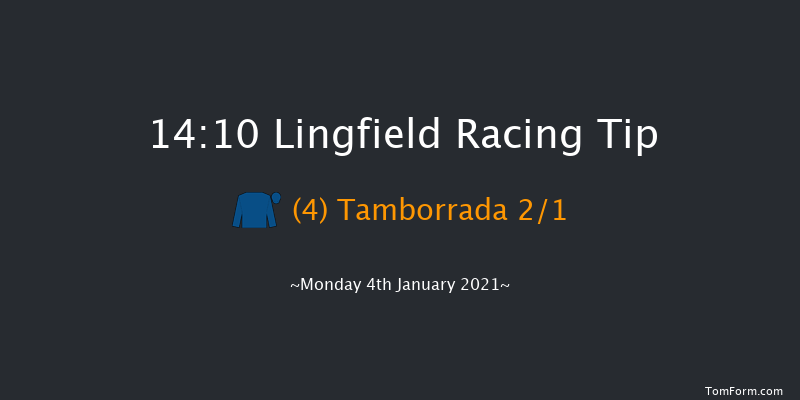 Get Your Ladbrokes Daily Odds Boost Novice Stakes Lingfield 14:10 Stakes (Class 5) 10f Sat 2nd Jan 2021