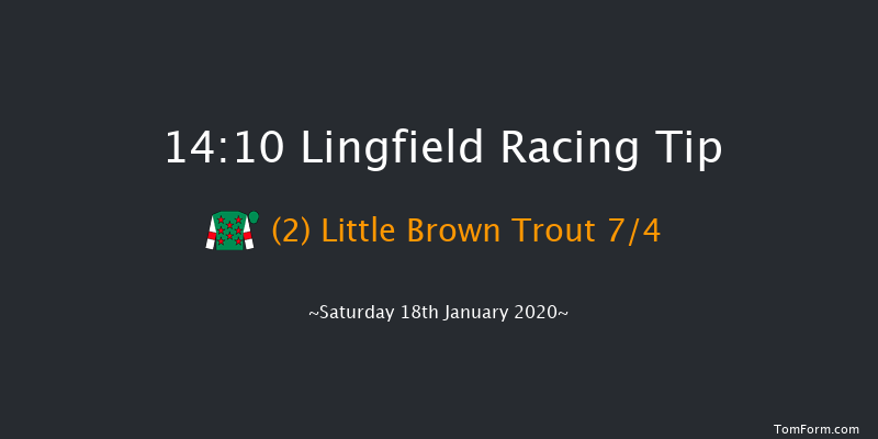 Lingfield 14:10 Handicap (Class 3) 6f Fri 17th Jan 2020
