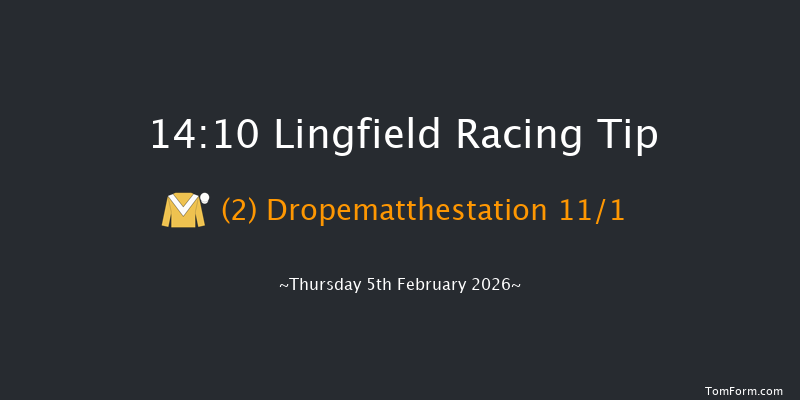Lingfield 14-10 (Class 4) 19f Sat 31st Jan 2026
