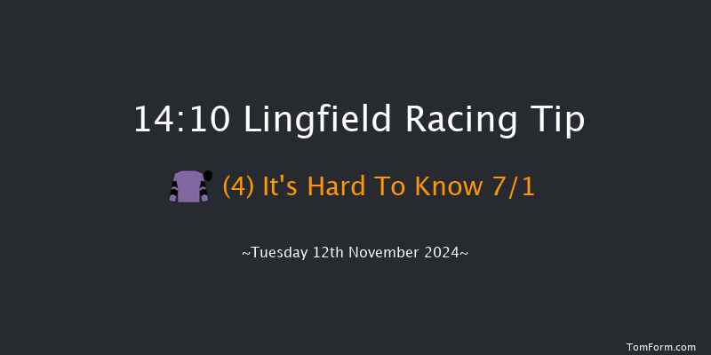 Lingfield  14:10 Maiden Hurdle (Class 3) 20f Sat 14th Sep 2024