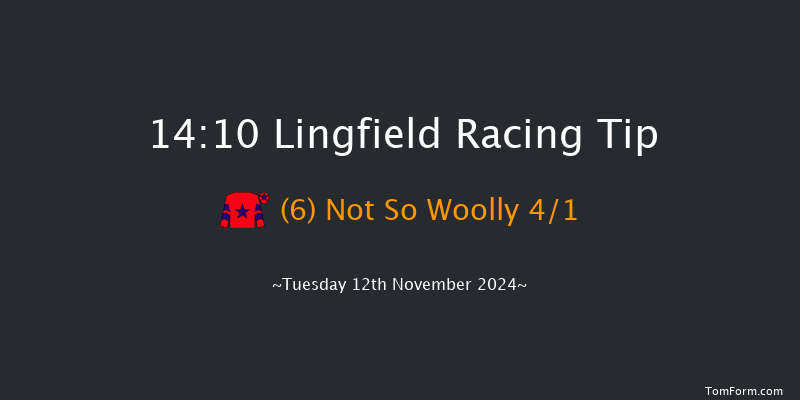 Lingfield  14:10 Maiden Hurdle (Class 3) 20f Sat 14th Sep 2024