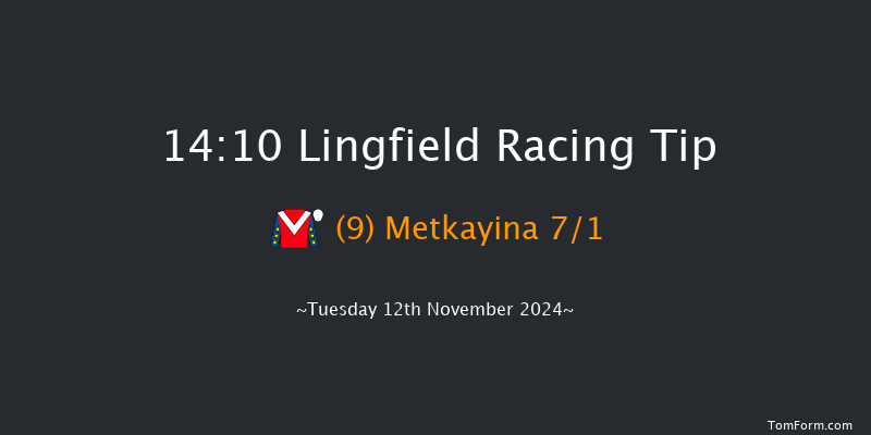 Lingfield  14:10 Maiden Hurdle (Class 3) 20f Sat 14th Sep 2024