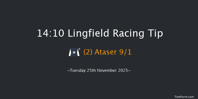 Lingfield 14-10 (Class 6) 7f Thu 20th Nov 2025