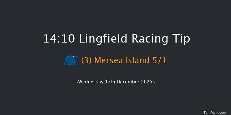 Lingfield 14-10 (Class 4) 12f Mon 15th Dec 2025