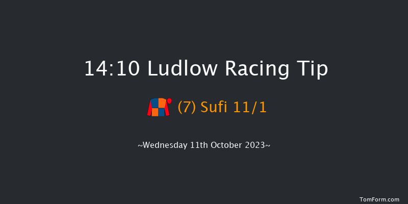 Ludlow 14:10 Handicap Hurdle (Class 4) 16f Sun 14th May 2023
