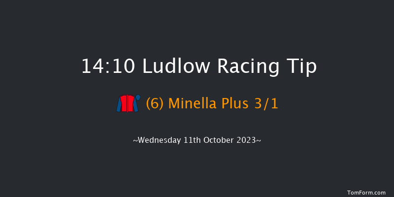 Ludlow 14:10 Handicap Hurdle (Class 4) 16f Sun 14th May 2023