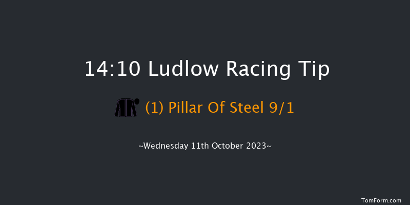 Ludlow 14:10 Handicap Hurdle (Class 4) 16f Sun 14th May 2023