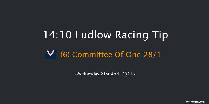 Bet At racingtv.com Mares' Handicap Hurdle Ludlow 14:10 Handicap Hurdle (Class 4) 24f Wed 31st Mar 2021
