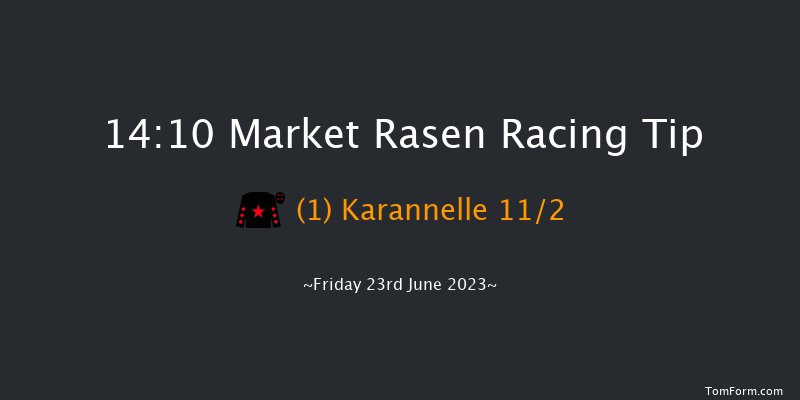 Market Rasen 14:10 Handicap Hurdle (Class 5) 17f Fri 9th Jun 2023