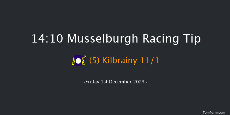 Musselburgh 14:10 Handicap Hurdle (Class 3) 24f Thu 30th Nov 2023