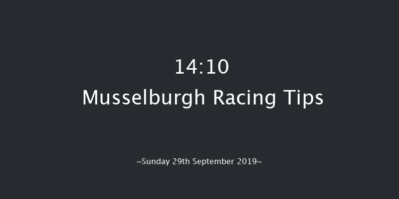 Musselburgh 14:10 Stakes (Class 4) 7f Sat 14th Sep 2019
