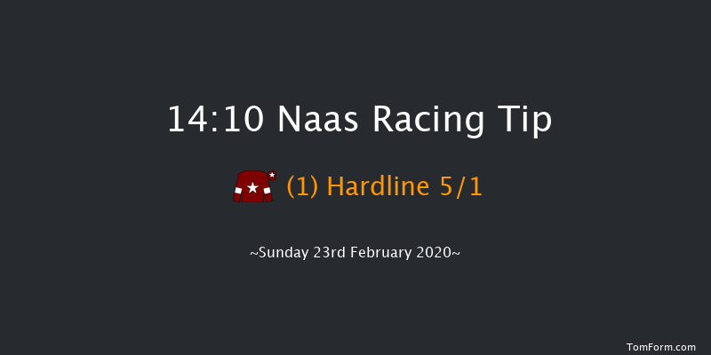 WhatOddsPaddy Chase (Grade 3) Naas 14:10 Conditions Chase 16f Sat 8th Feb 2020
