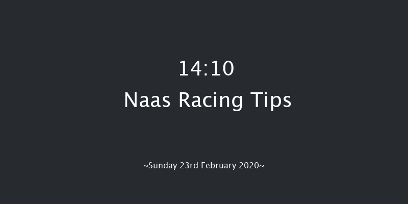 WhatOddsPaddy Chase (Grade 3) Naas 14:10 Conditions Chase 16f Sat 8th Feb 2020