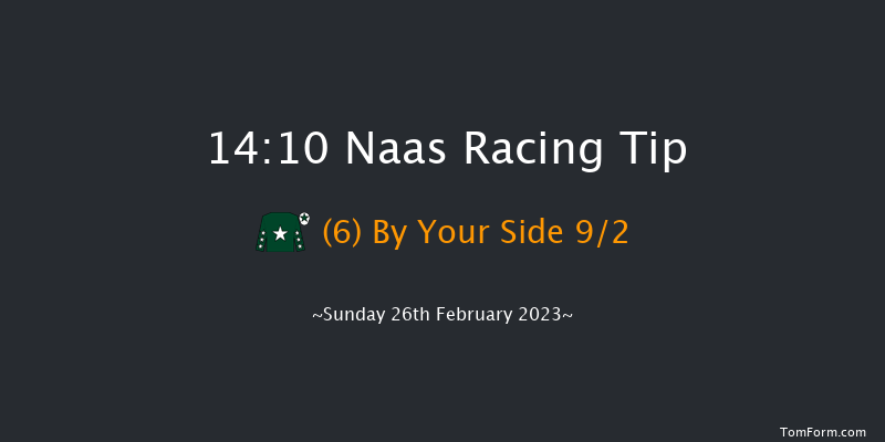 Naas 14:10 Handicap Hurdle 16f Sat 11th Feb 2023