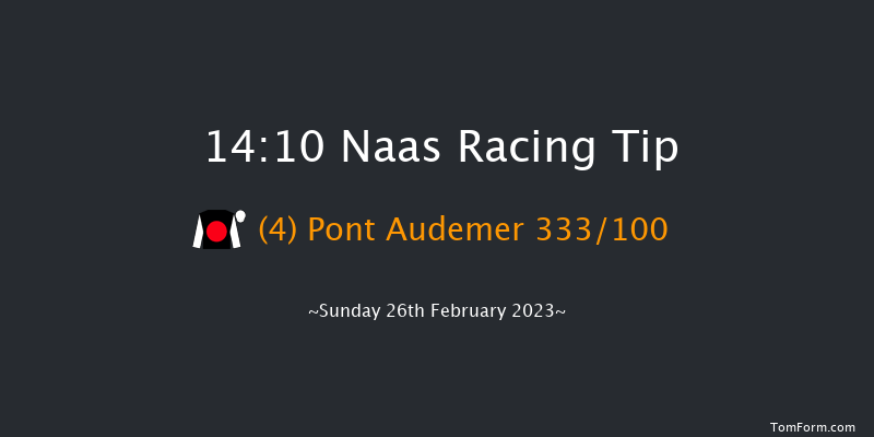 Naas 14:10 Handicap Hurdle 16f Sat 11th Feb 2023
