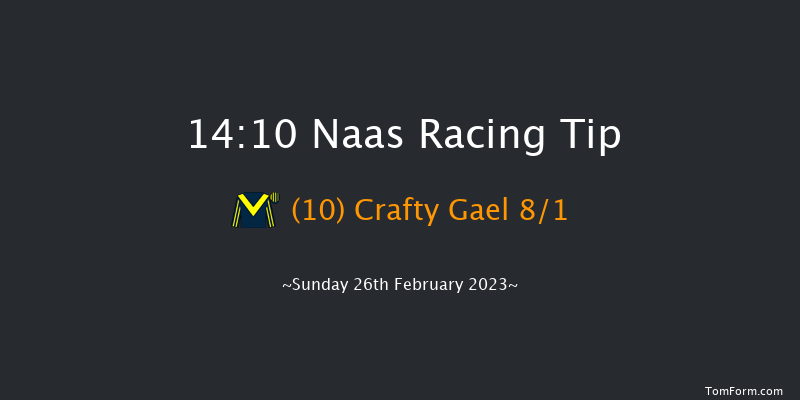 Naas 14:10 Handicap Hurdle 16f Sat 11th Feb 2023