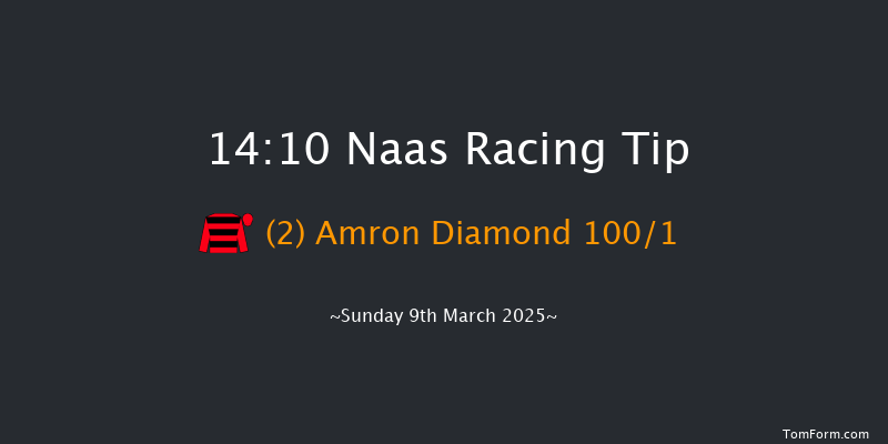 Naas  14:10 Maiden Hurdle 20f Sun 23rd Feb 2025