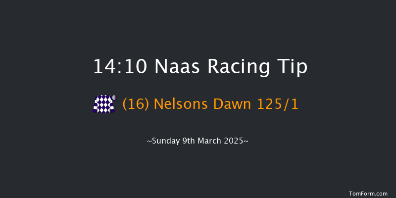 Naas  14:10 Maiden Hurdle 20f Sun 23rd Feb 2025