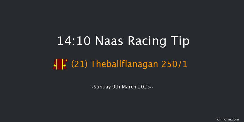 Naas  14:10 Maiden Hurdle 20f Sun 23rd Feb 2025