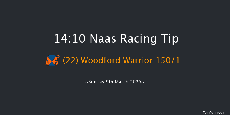 Naas  14:10 Maiden Hurdle 20f Sun 23rd Feb 2025