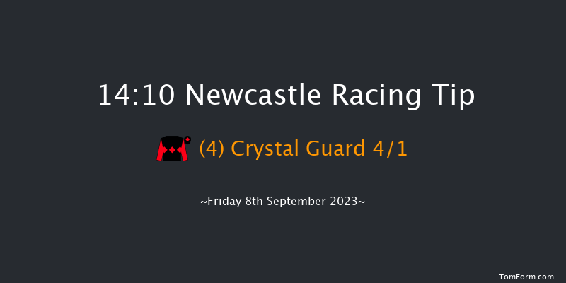 Newcastle 14:10 Handicap (Class 6) 12f Thu 31st Aug 2023