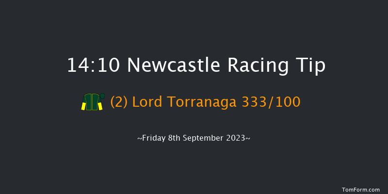 Newcastle 14:10 Handicap (Class 6) 12f Thu 31st Aug 2023