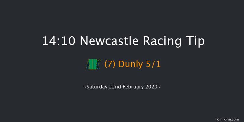 Vertem - Very Different Stockbrokers Novices' Handicap Chase Newcastle 14:10 Handicap Chase (Class 4) 16f Wed 19th Feb 2020