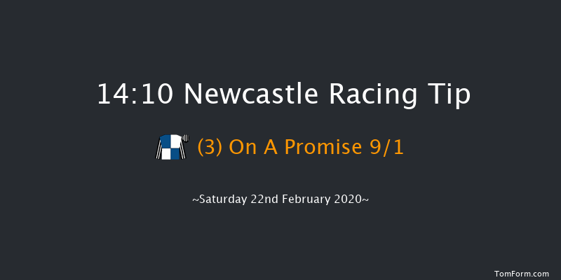 Vertem - Very Different Stockbrokers Novices' Handicap Chase Newcastle 14:10 Handicap Chase (Class 4) 16f Wed 19th Feb 2020