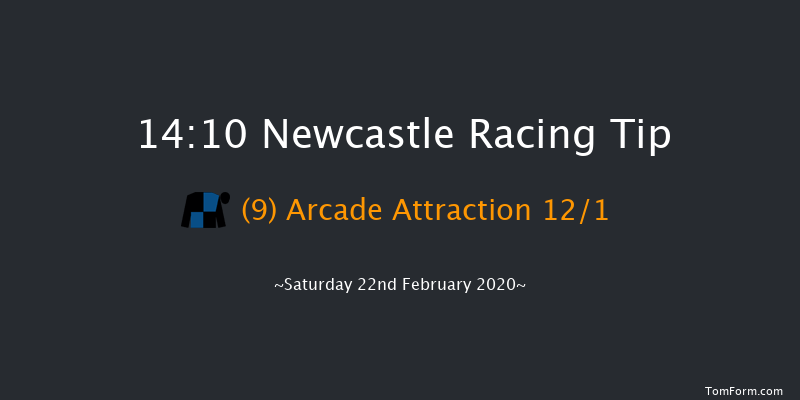 Vertem - Very Different Stockbrokers Novices' Handicap Chase Newcastle 14:10 Handicap Chase (Class 4) 16f Wed 19th Feb 2020