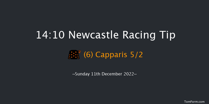 Newcastle 14:10 Handicap (Class 6) 10f Sat 10th Dec 2022