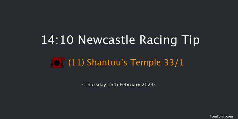 Newcastle 14:10 Maiden Hurdle (Class 4) 17f Tue 14th Feb 2023