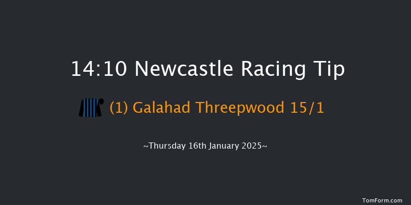 Newcastle  14:10 Handicap Hurdle (Class 5) 17f Tue 14th Jan 2025